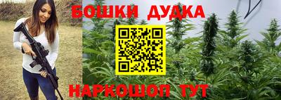шишки Аша
